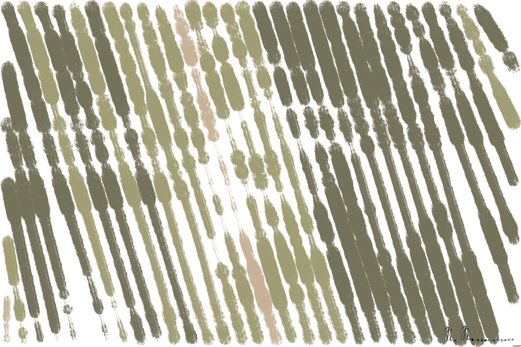 from CC0 photo AI Art