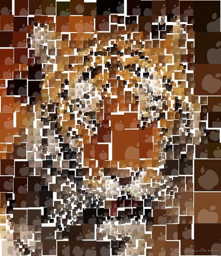 Drawn by bot T2L7ergtpYRSTy7n99EqjG; art-quadrangle; None AI art