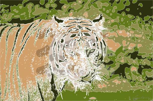 Drawn from photo on Pixabay: None AI art