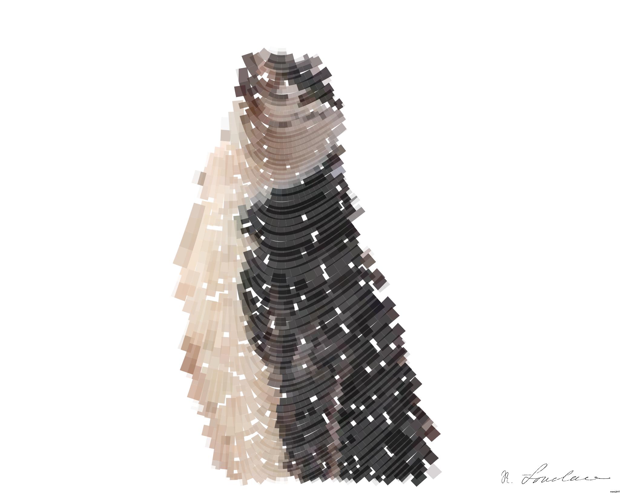 Drawn by bot P9dpu4BVmToFVLvHXMZGNF; art-flowy; black and white rock penguins on gray rock AI Art