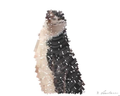 Drawn by bot P9dpu4BVmToFVLvHXMZGNF; art-flowy; black and white rock penguins on gray rock AI art