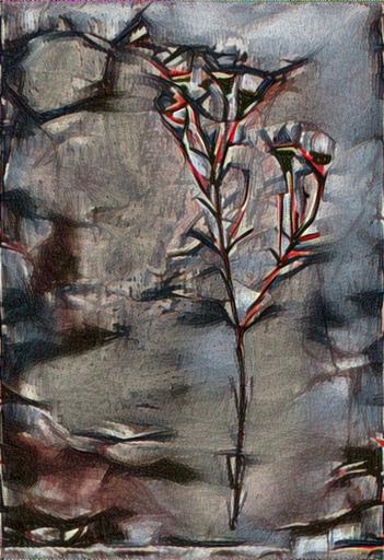 from CC0 photo AI art