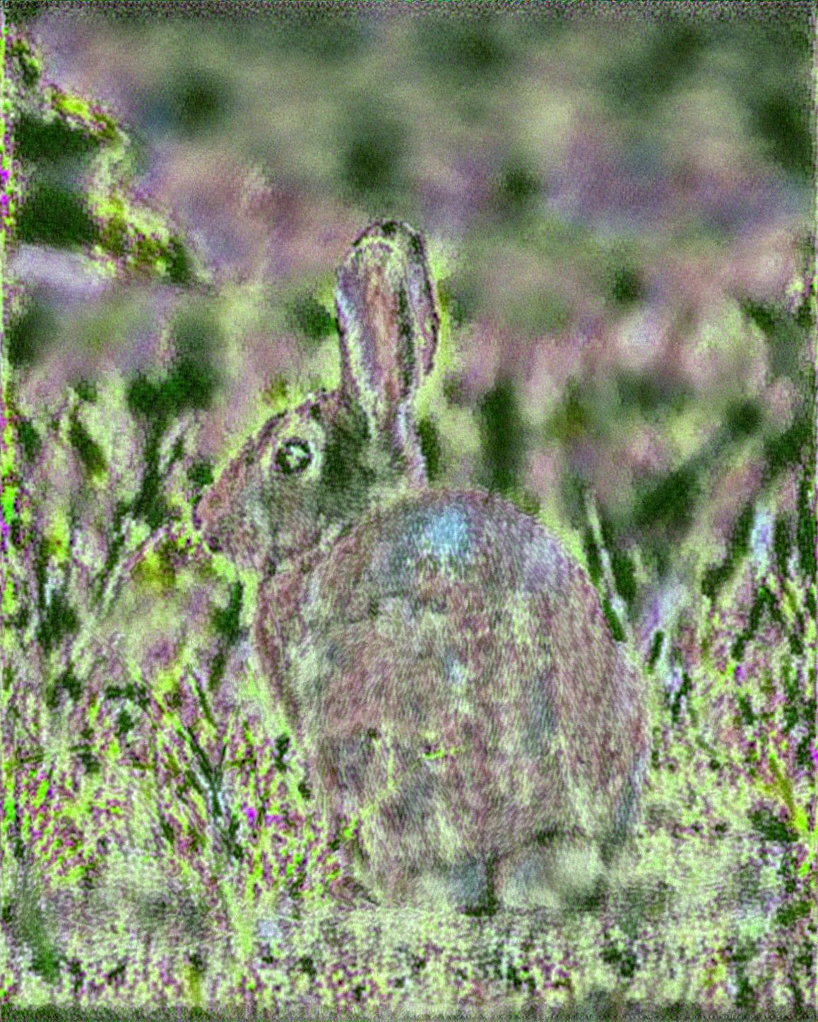 from CC0 photo AI Art