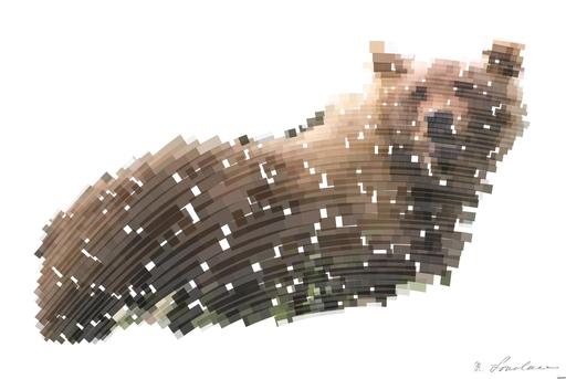 from CC0 photo AI art