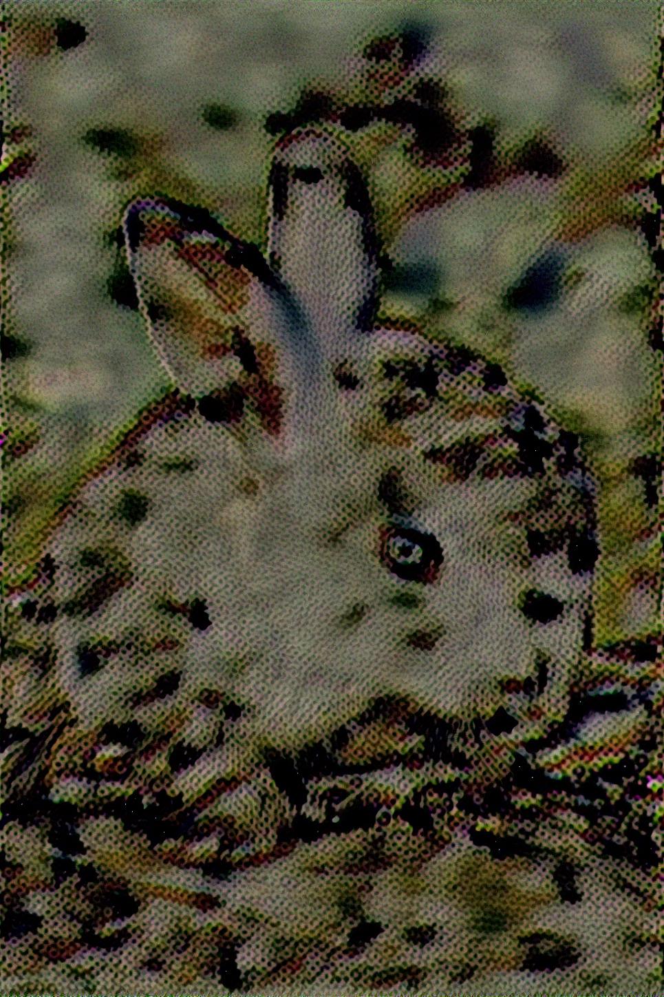 from CC0 photo AI Art