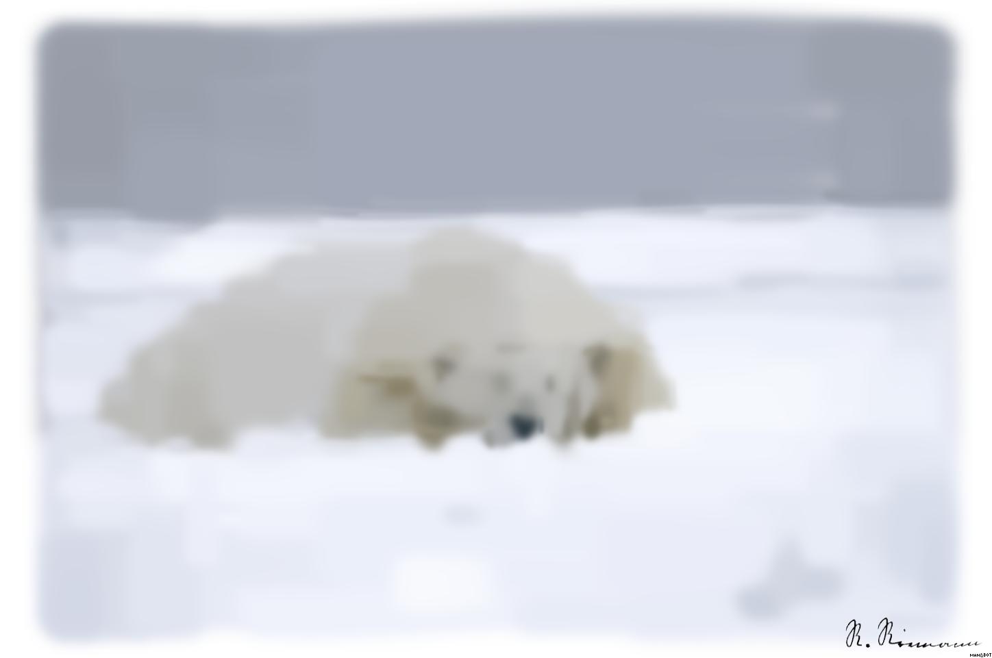 from CC0 photo AI Art