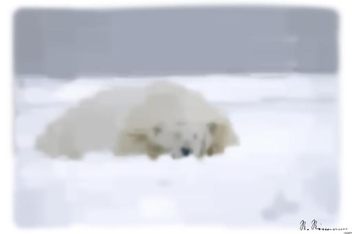 from CC0 photo AI art