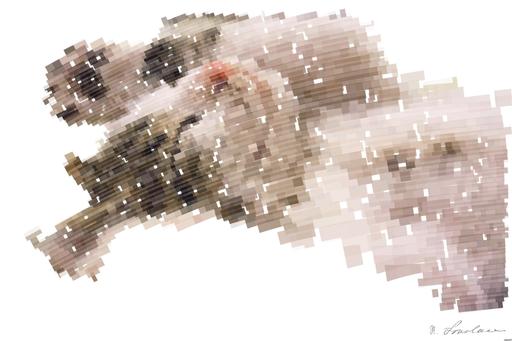 Drawn by bot LrgeXzBrrePVwujdMSrdHZ; art-flowy; A close-up shot of a cute kitten sleeping peacefully on a soft surface. AI art