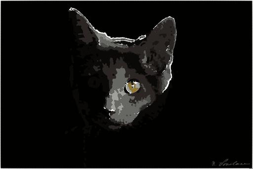 from CC0 photo AI art