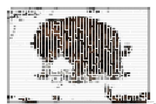 Drawn by bot PcoQSz5Lk7zNZ5bQz3RByf; art-amaze; None AI art