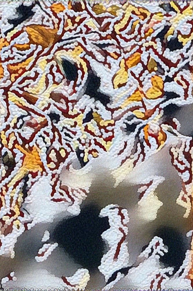 from CC0 photo AI Art