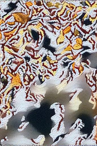 from CC0 photo AI art