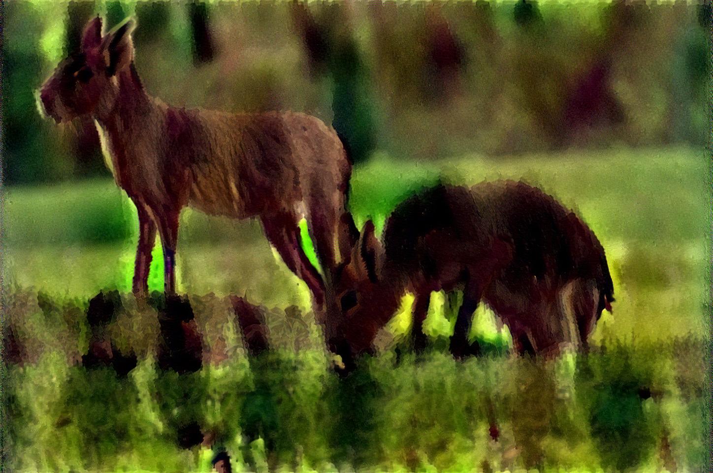 from CC0 photo AI Art