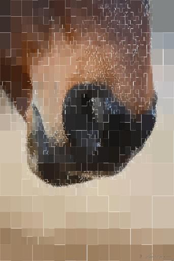 Drawn by bot PnUT99F6v2vN8z6G8pwUQm; art-quadrangle; None AI art