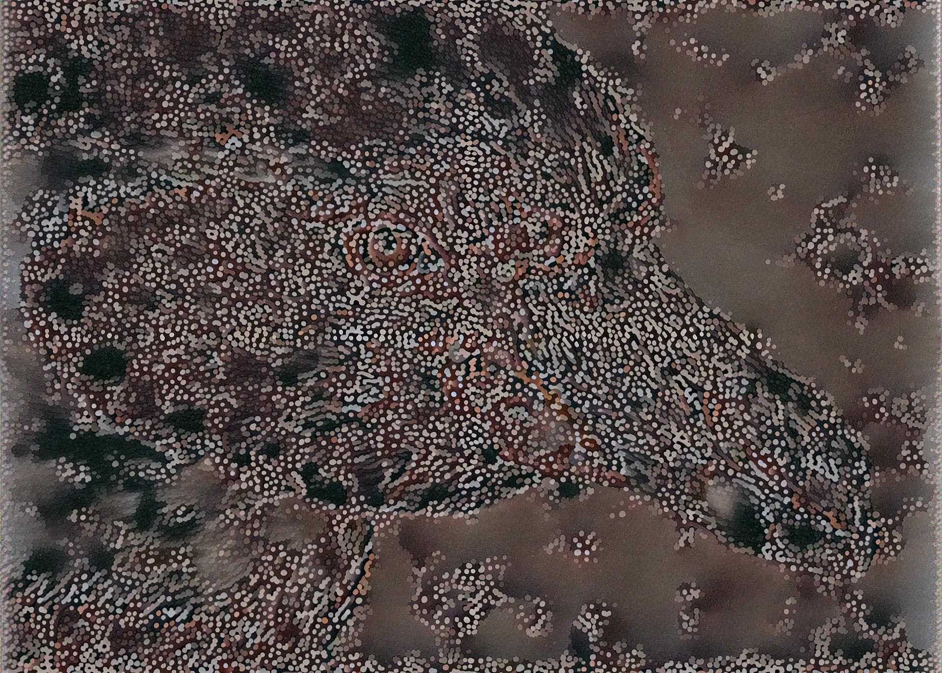 from CC0 photo AI Art