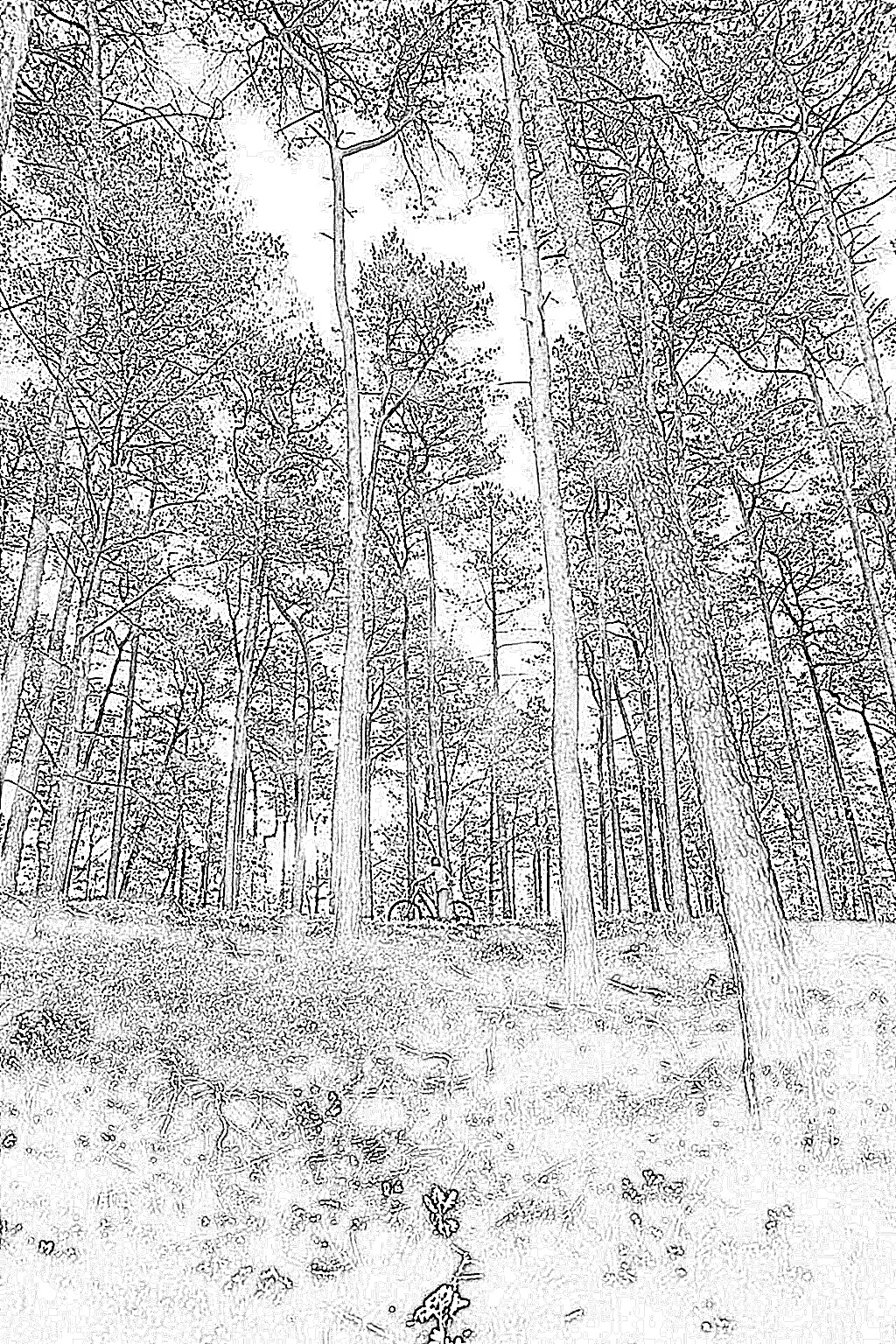 from CC0 photo AI Art