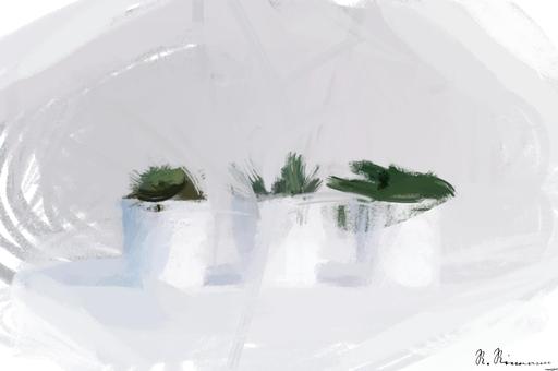 Drawn by bot 9ccKDYmLGJuY4ZZSW82D7H; art-primitive-paintbrush-ii; Three succulents in white pots on a white background, showcasing minimalist decor. AI art
