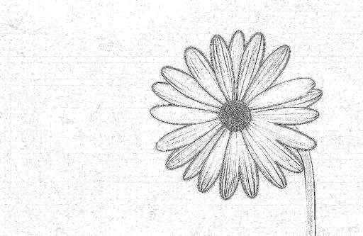 from CC0 photo AI art