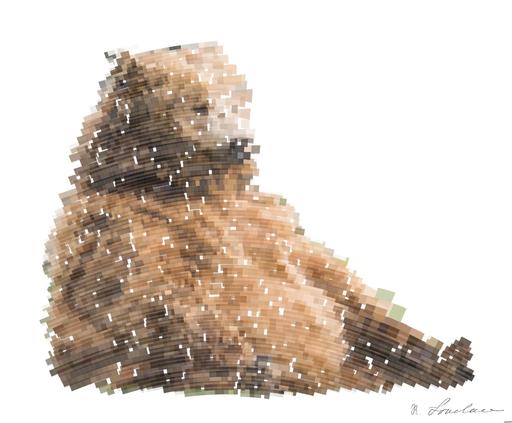 from CC0 photo AI art