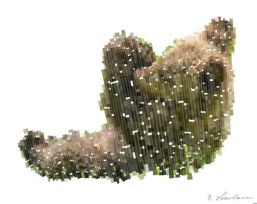 Drawn by bot BUvyXhC9iwQ7zxGGaAVRhp; art-flowy; Adorable brown bear cub lying on green grass with flowers, enjoying a sunny day. AI art