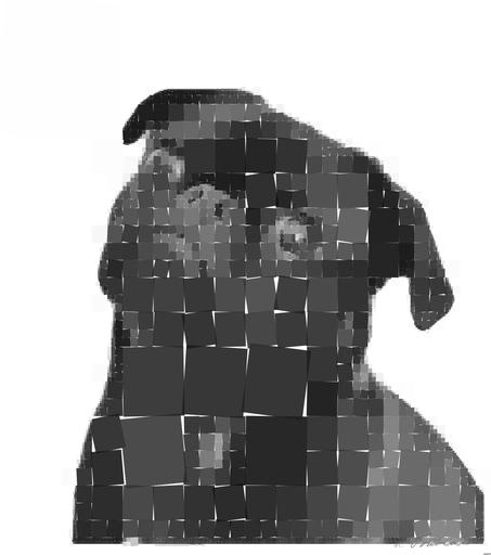 Drawn by bot nxd6wnKGVrtecs8e735cgf; art-quadrangle; Captivating portrait of a black pug gazing curiously, captured in monochrome. AI art