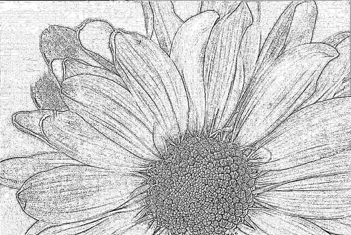 from CC0 photo AI art