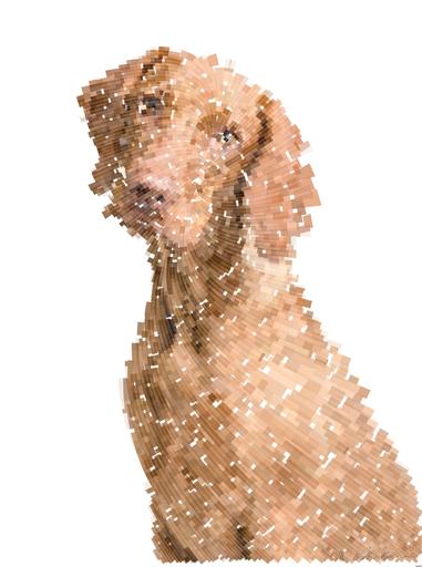 from CC0 photo AI art