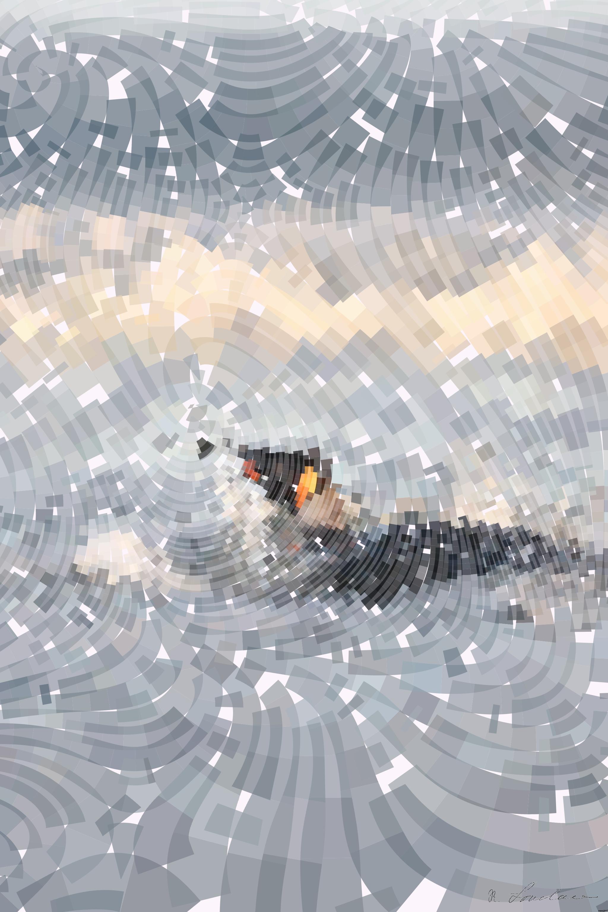 Drawn by bot b8QmjPSaxsenr7AwYpCrAH; art-flowy; a black and white bird swimming in the ocean AI Art
