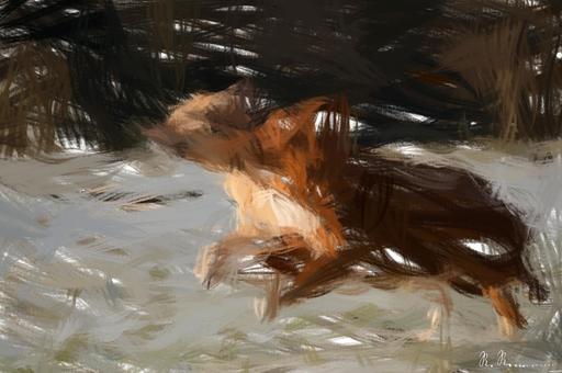 from CC0 photo AI art