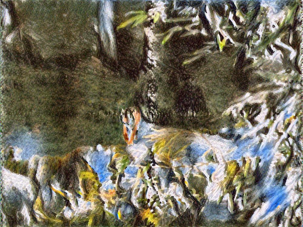 from CC0 photo AI Art