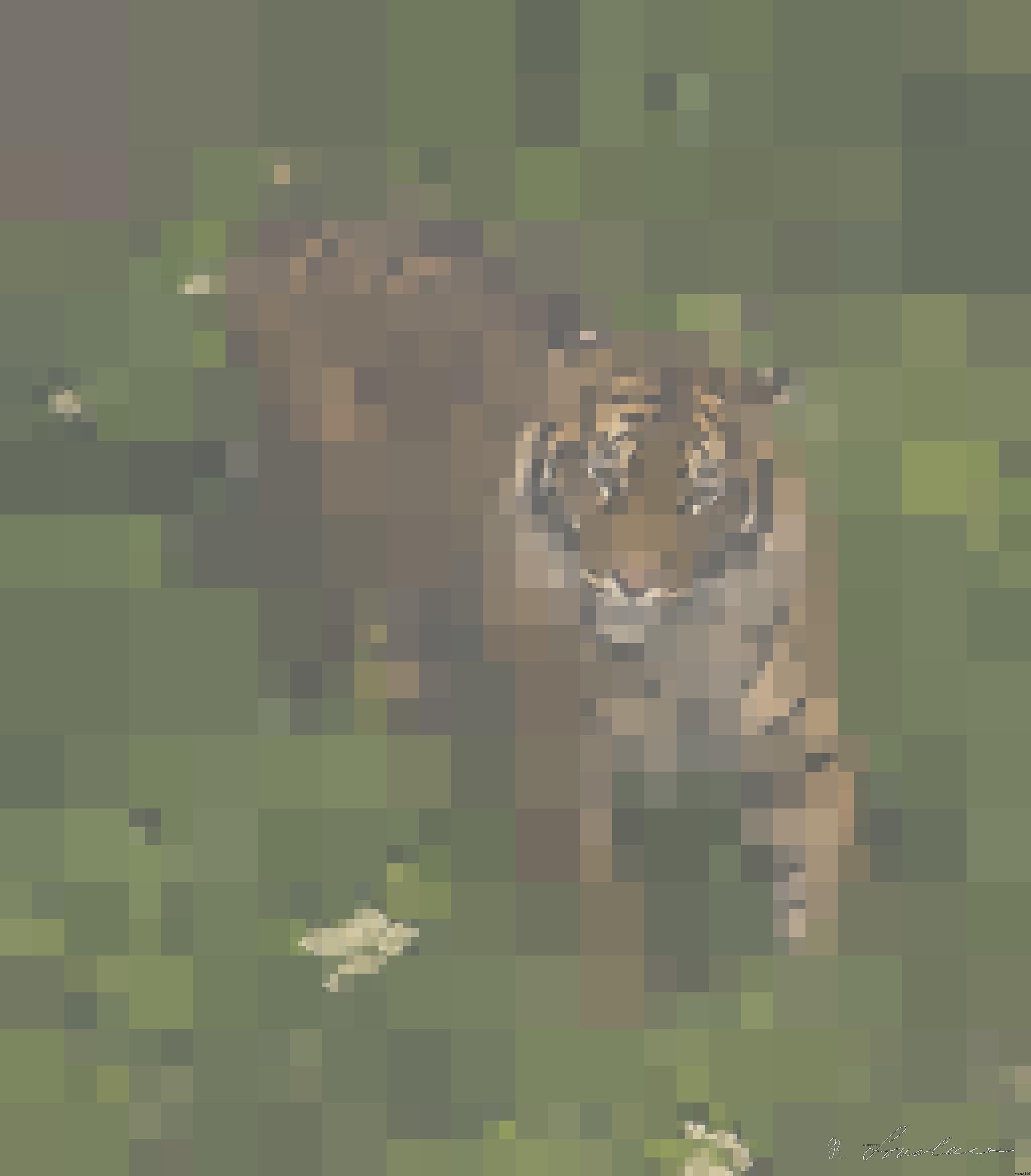 from CC0 photo AI Art