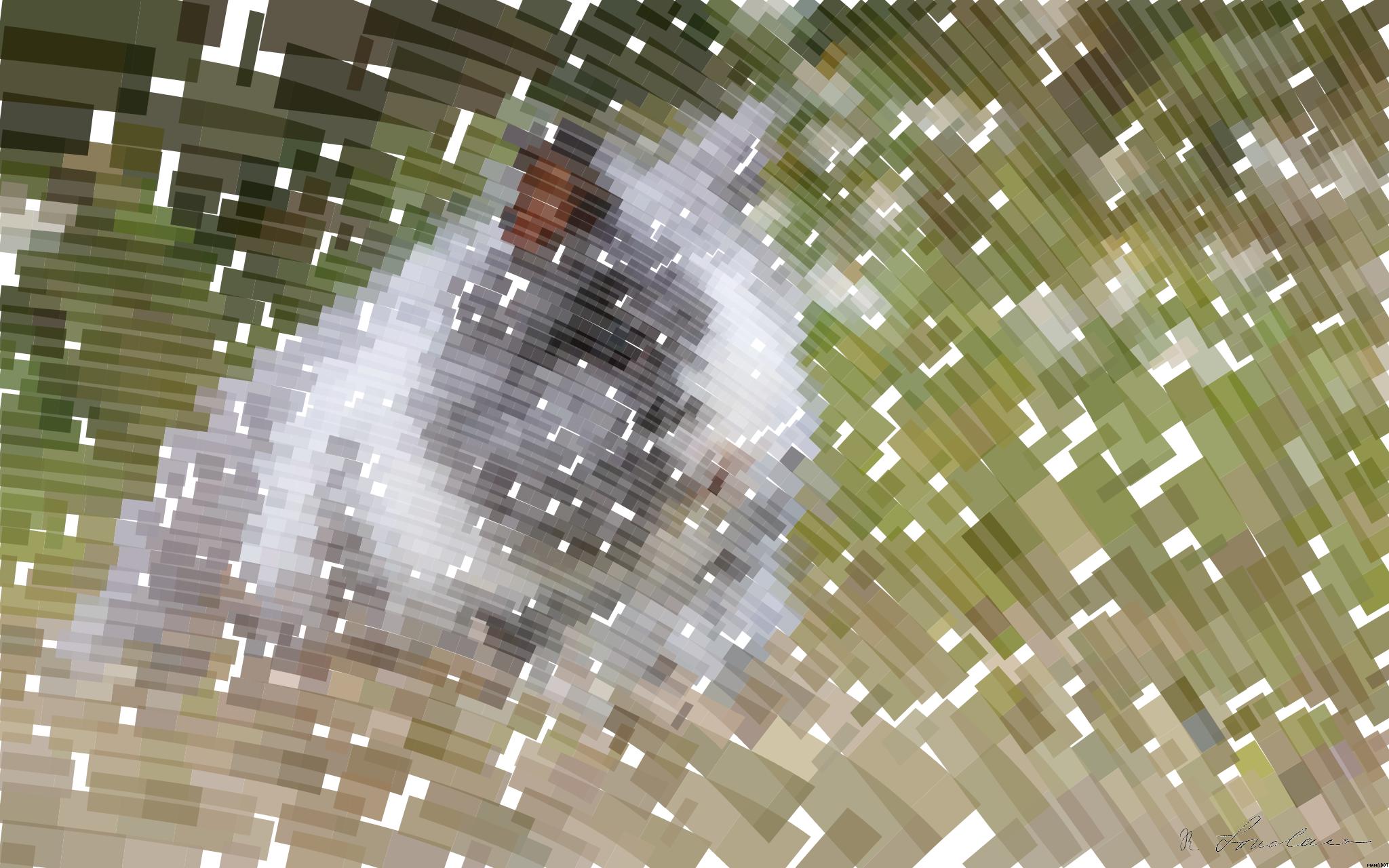 Drawn by bot ccP6jrJt9zpGxgrFSccNYS; art-flowy; gray and white bunny AI Art