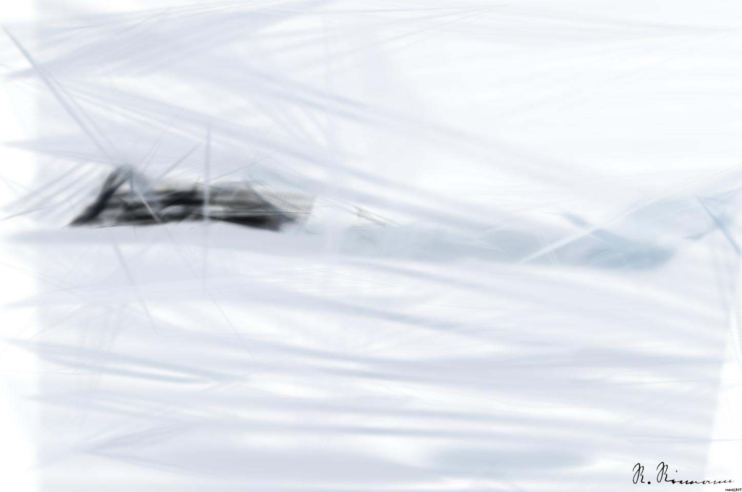 from CC0 photo AI Art