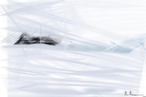 from CC0 photo AI art