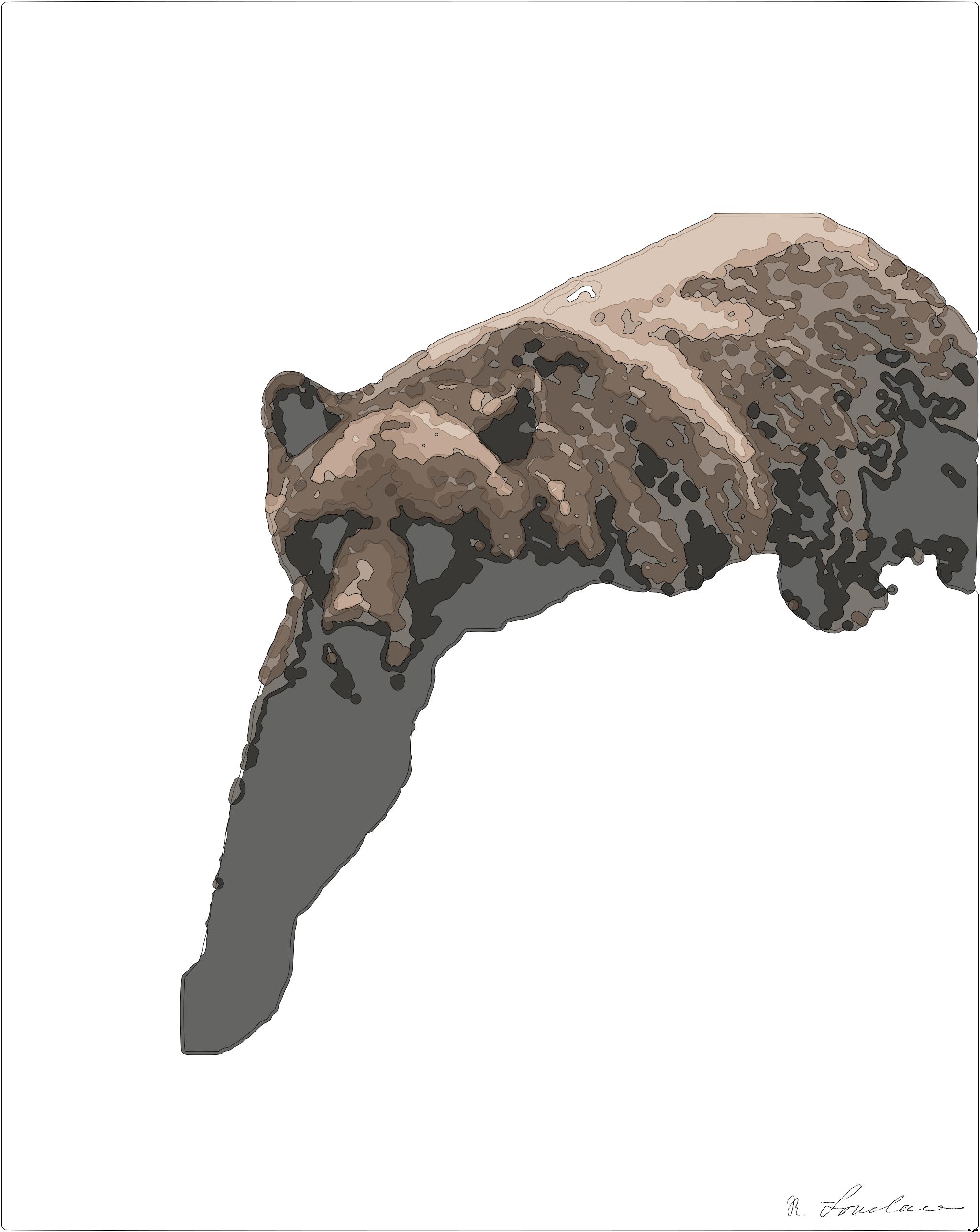 Drawn by bot SxQkkyQ3jm5rFCyweuGvt8; art-bloby; A brown bear walking through a lush green forest AI Art