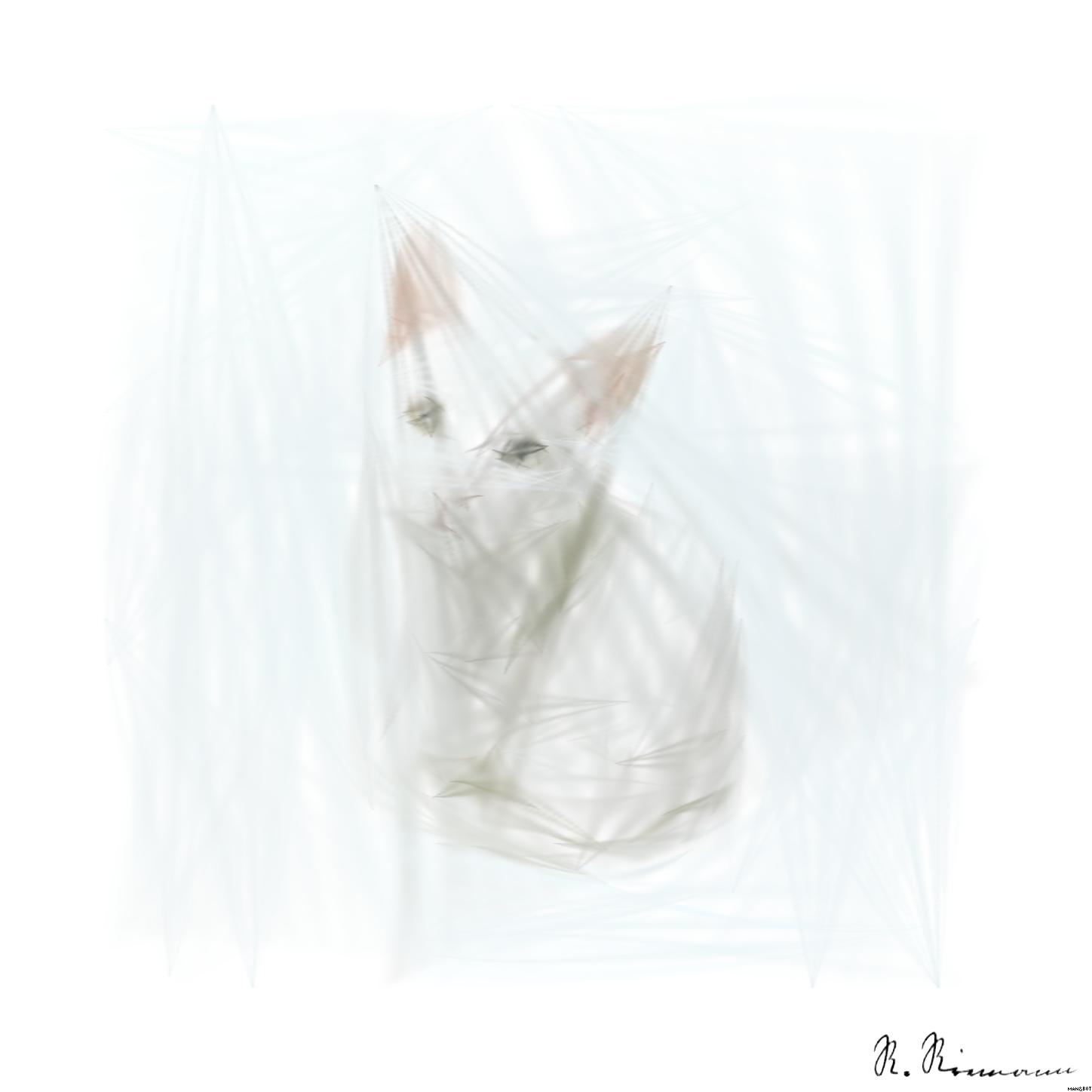 from CC0 photo AI Art