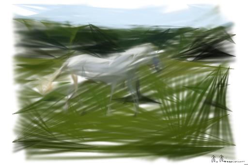 from CC0 photo AI art