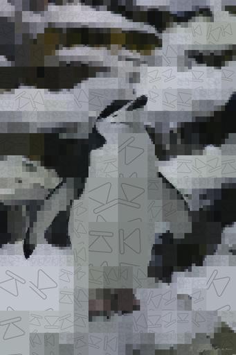 from CC0 photo AI art