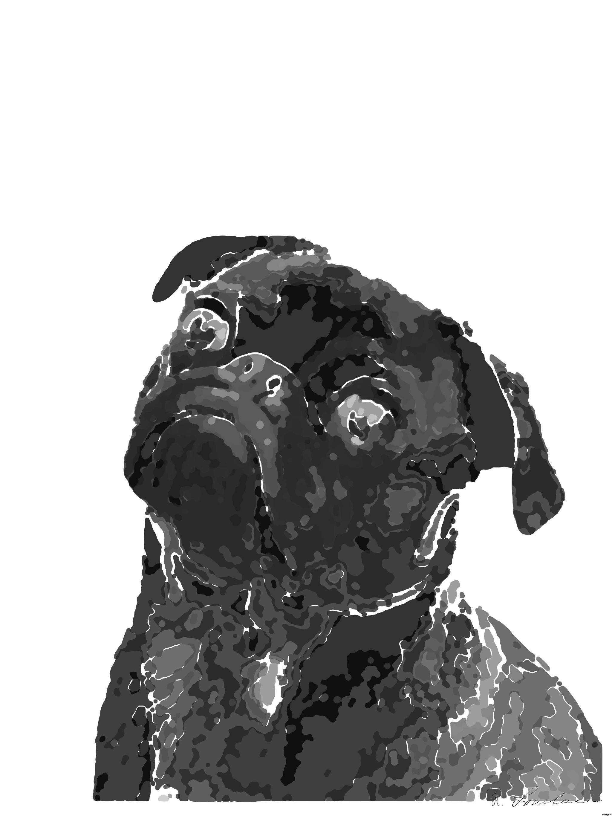 Drawn by bot jWB33q2WRnvpYByoMWnCNQ; art-bloby; Captivating portrait of a black pug gazing curiously, captured in monochrome. AI Art