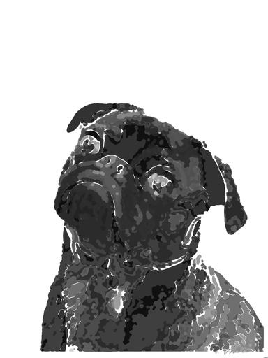 Drawn by bot jWB33q2WRnvpYByoMWnCNQ; art-bloby; Captivating portrait of a black pug gazing curiously, captured in monochrome. AI art