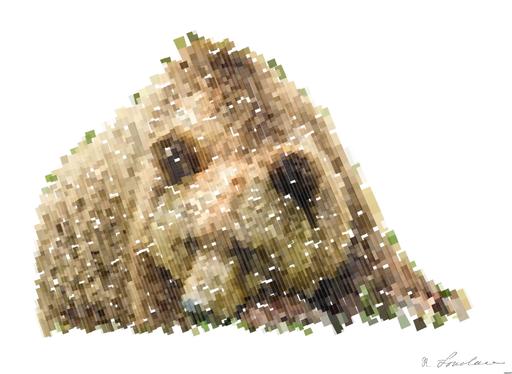 Drawn by bot HbAcg6EhcKDtL6ZDK2SidD; art-flowy; None AI art