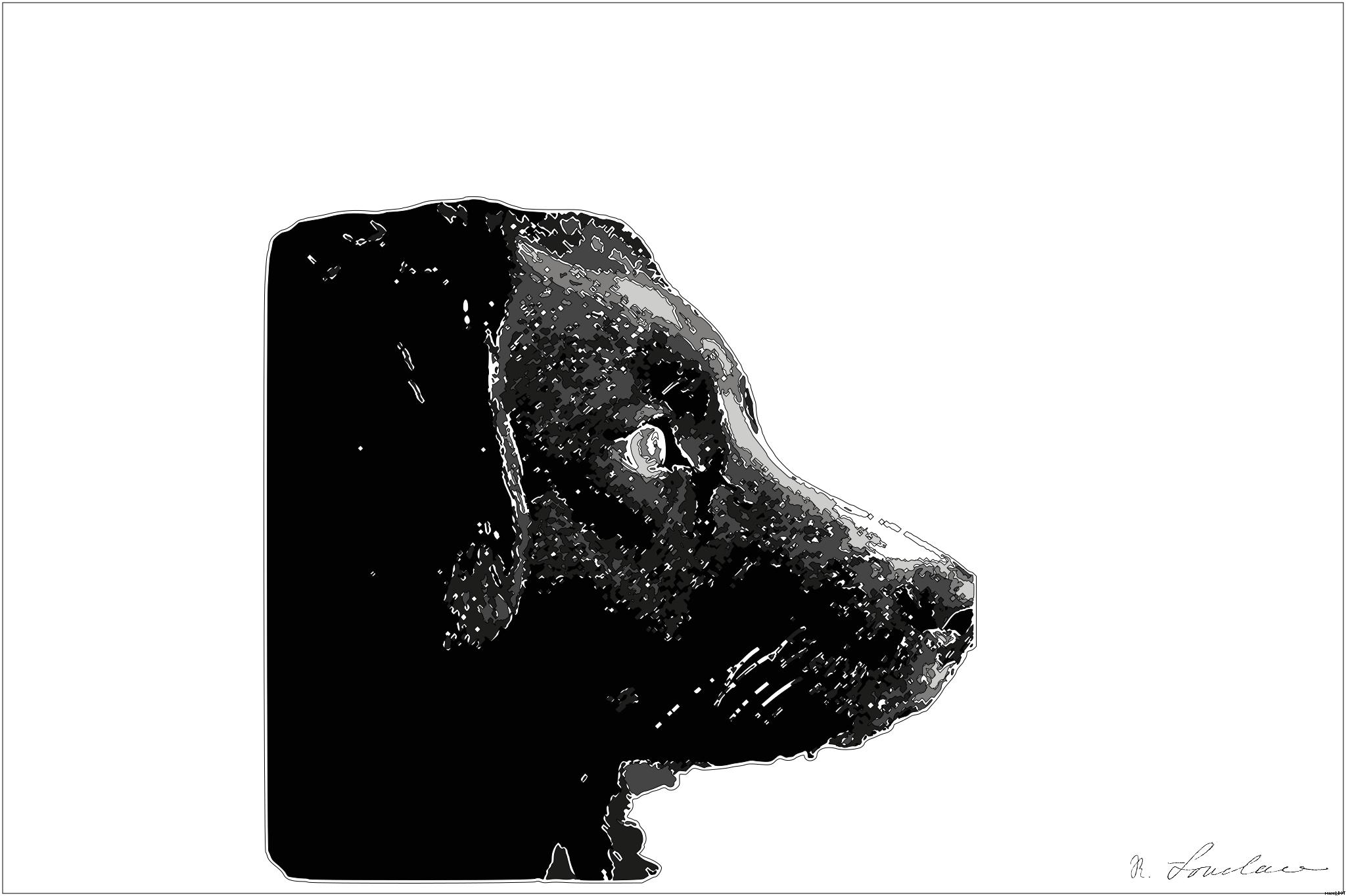 from CC0 photo AI Art