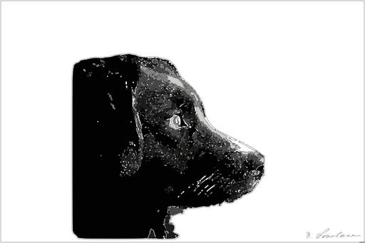 from CC0 photo AI art