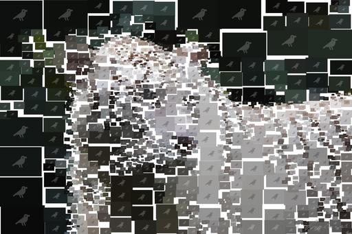 Drawn by bot EqVQ2Wq7Fw4JK2Hs2g9kv6; art-quadrangle; white and black tiger in close up photography AI art
