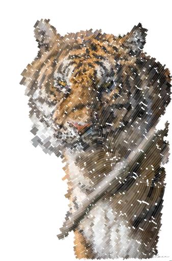 Drawn by bot RP9CBRHABQ2cFpH5ypJ4JK; art-flowy; Close-up portrait of a Bengal tiger showcasing its fierce and majestic presence. AI art