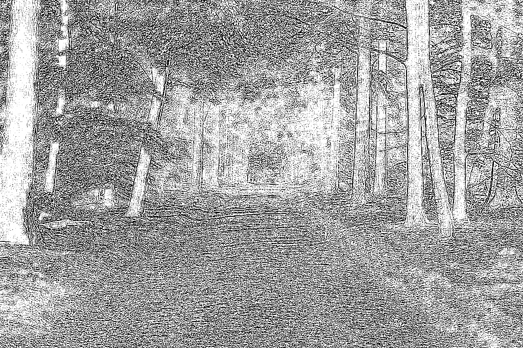 from CC0 photo AI Art