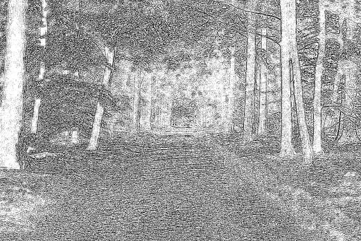 from CC0 photo AI art