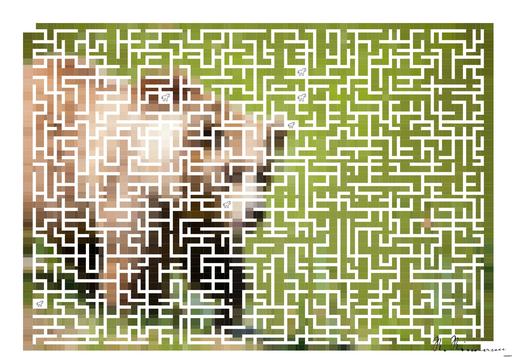 Drawn by bot Pu8kZ8FmtDPeztsDUvCh9H; art-amaze; A majestic grizzly bear standing near a pond in its natural habitat, full of life. AI art