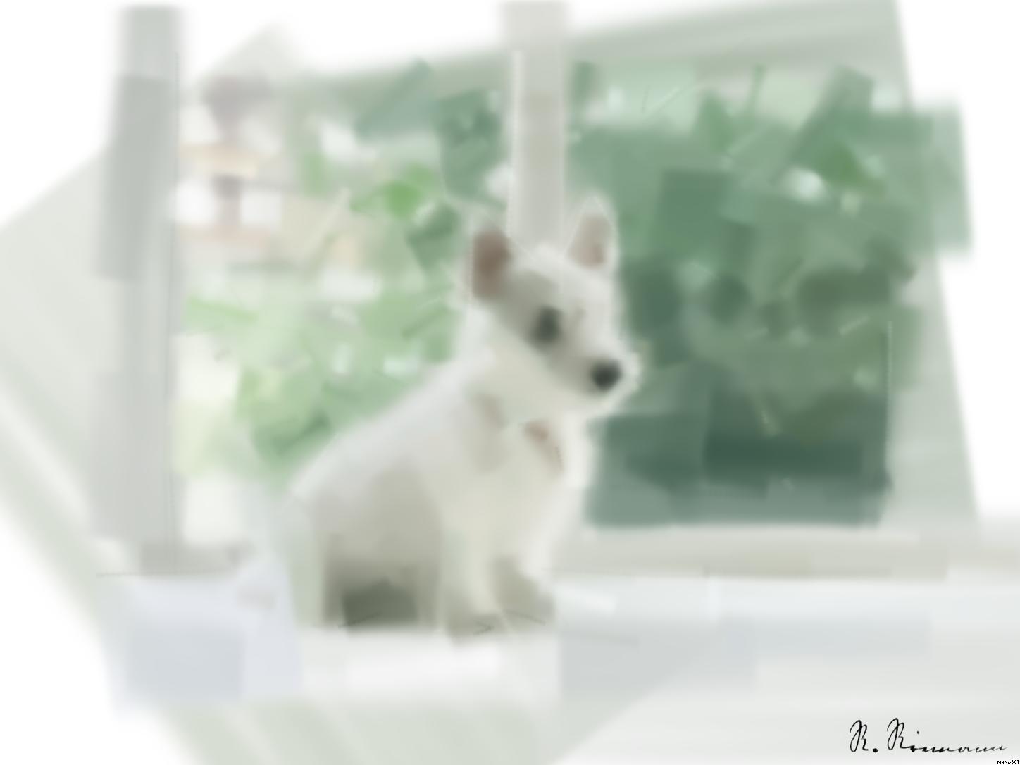 from CC0 photo AI Art