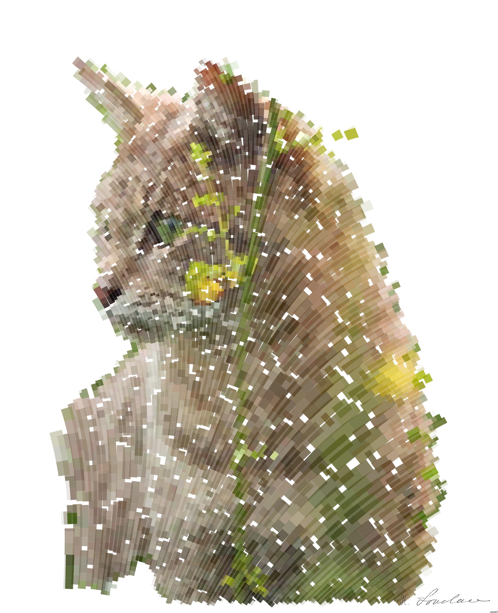 from CC0 photo AI Art